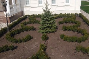 Монтаж автоматического капельного полива