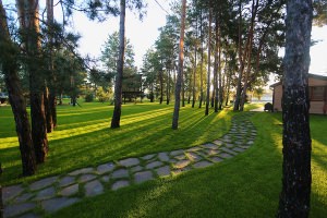 Укладка рулонного газона