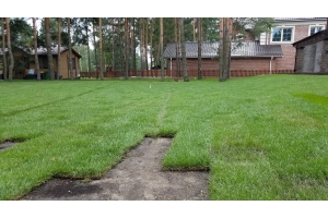 ukladka-rulonnogo-gazona