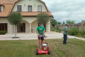 Вертикутация рулонного газона